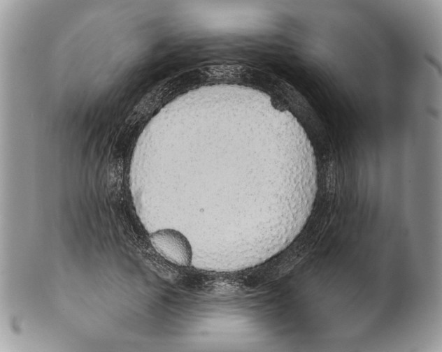 X0000101150737200807251047
