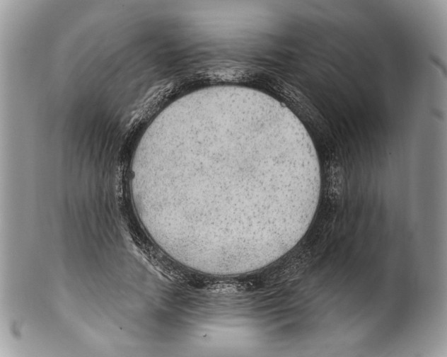 X0000101150738200807251047