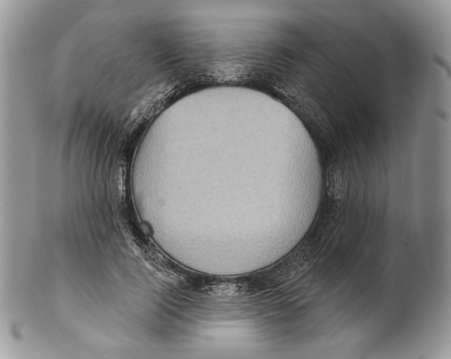 X0000101150740200807251047