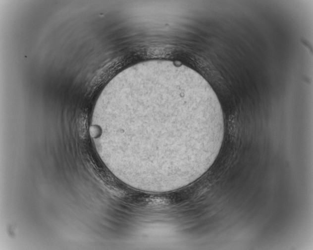 X0000101150741200807251047