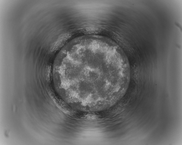 X0000101150742200807251047