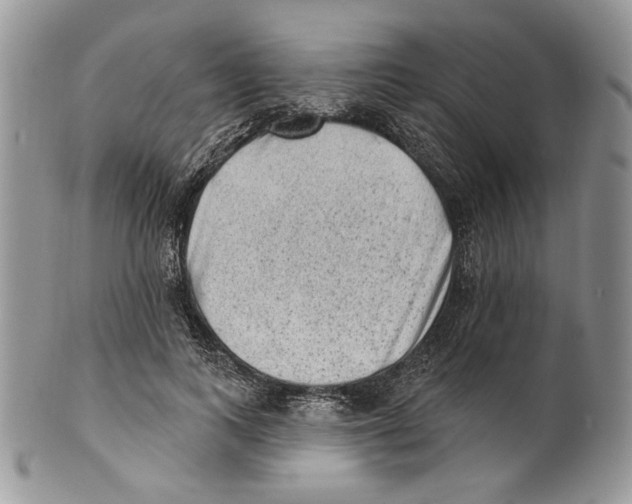 X0000101150743200807251047