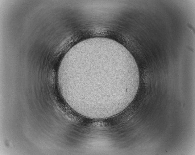 X0000101150744200807251047