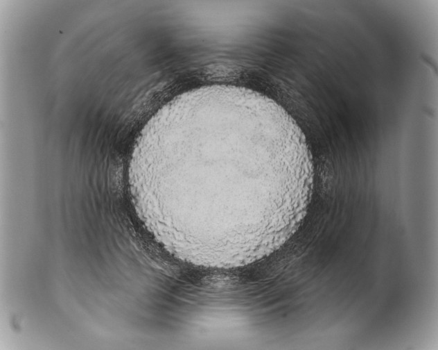 X0000101150745200807251048