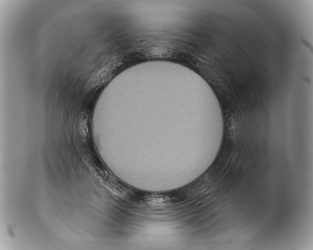 X0000101150746200807251048