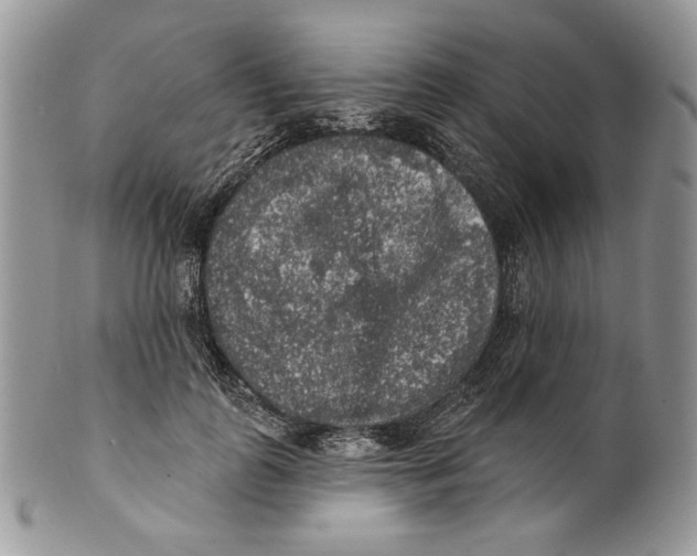 X0000101150747200807251048