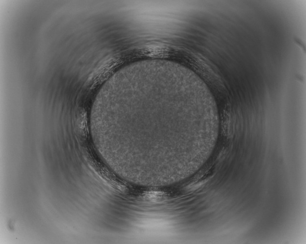X0000101150748200807251048