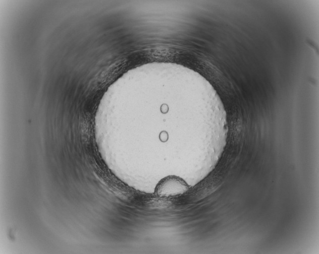 X0000101150749200807251048