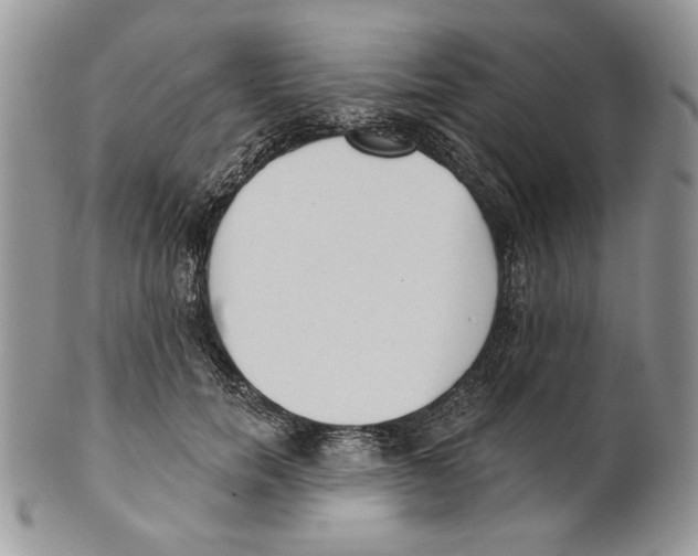 X0000101150750200807251048