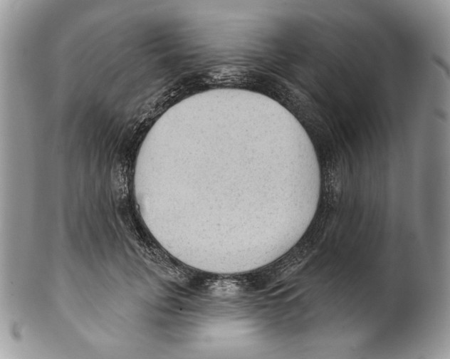 X0000101150751200807251048