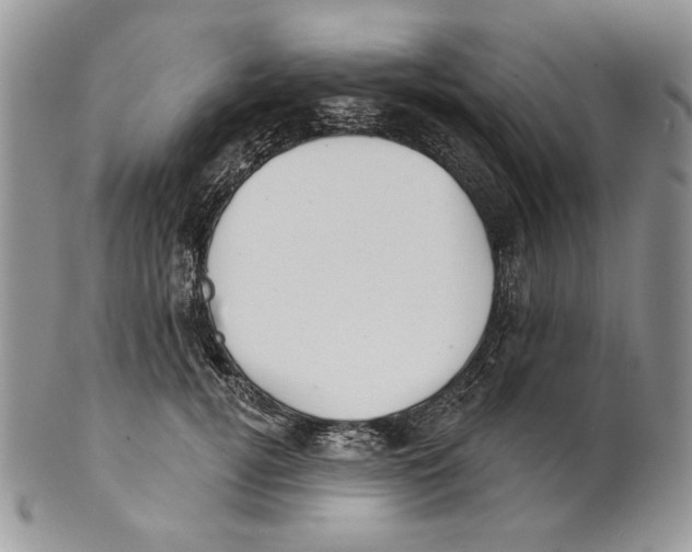 X0000101150752200807251048