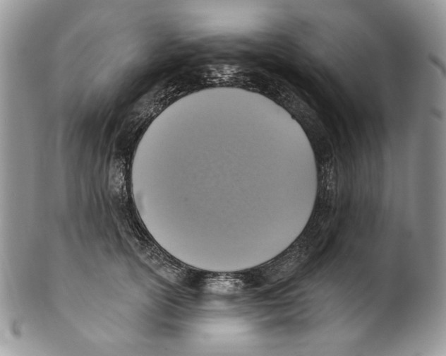 X0000101150754200807251048