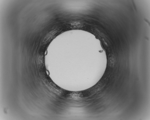 X0000101150756200807251048