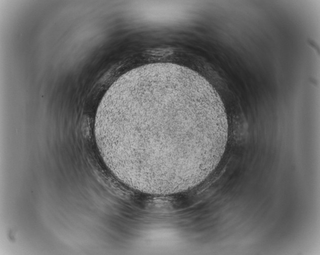 X0000101150758200807251048