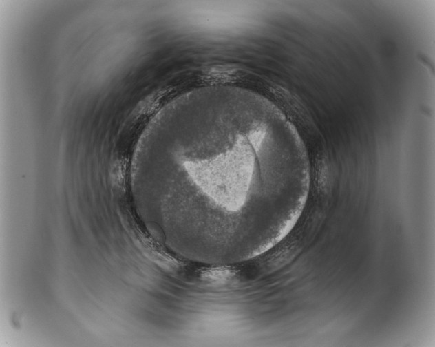 X0000101150759200807251048