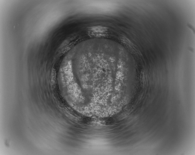 X0000101150760200807251048