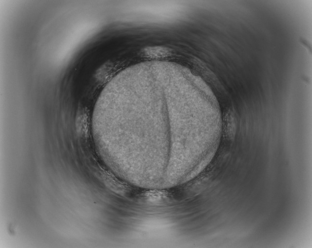 X0000101150762200807251048