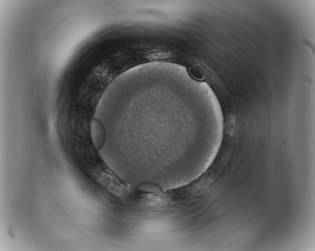 X0000101150763200807251048