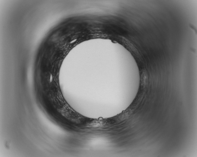 X0000101150764200807251048