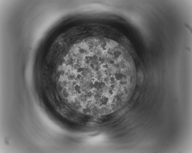 X0000101150765200807251048