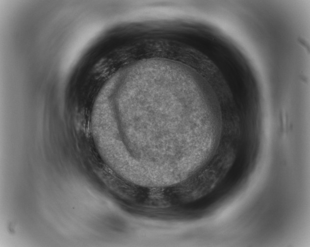X0000101150766200807251048