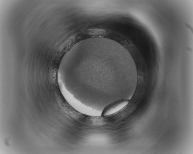 X0000101150767200807251048