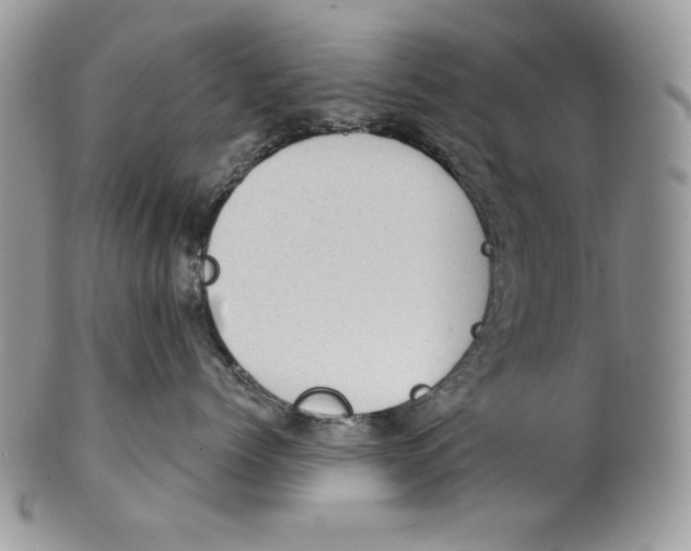 X0000101150768200807251048