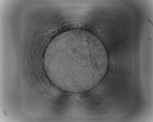 X0000101150769200807251047