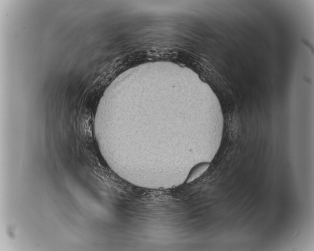 X0000101150770200807251047