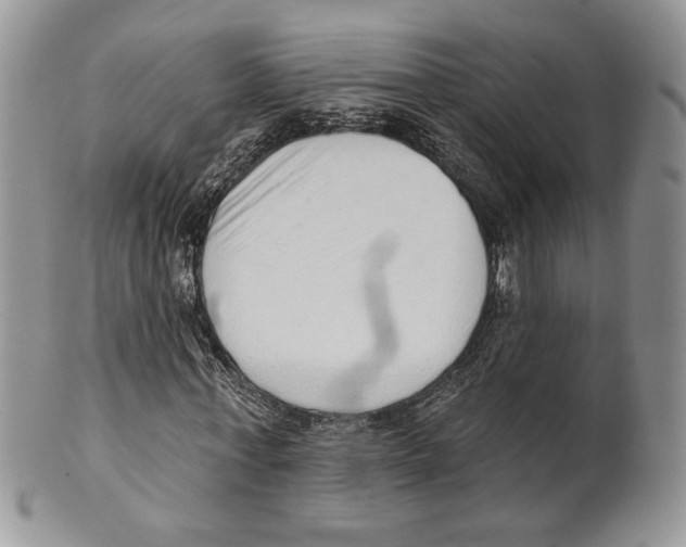 X0000101150771200807251047