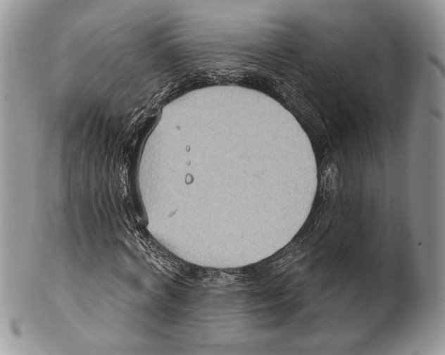 X0000101150772200807251047