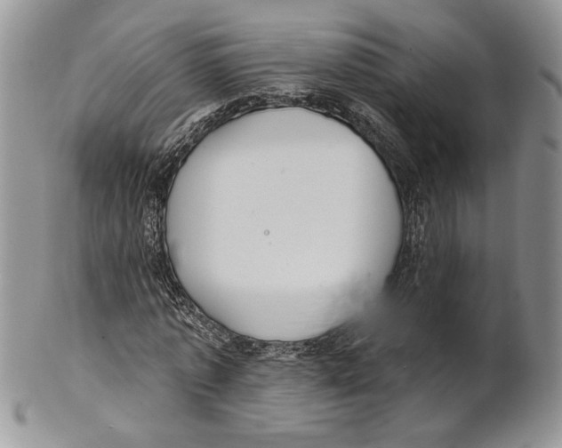 X0000101150773200807251047