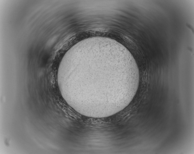 X0000101150774200807251047