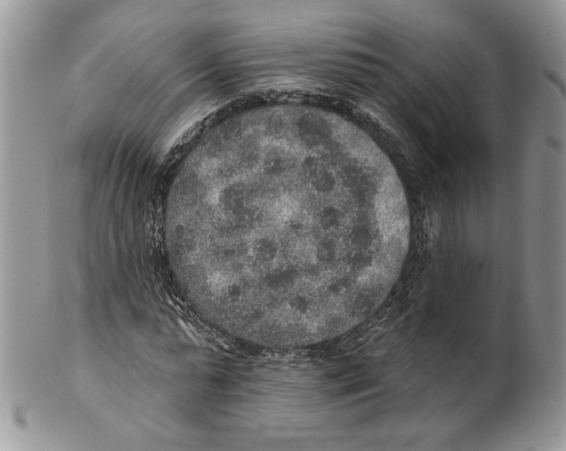 X0000101150775200807251047