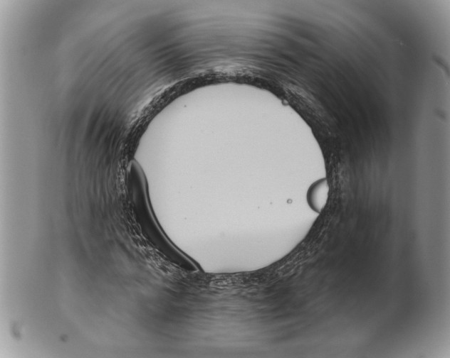 X0000101150776200807251047