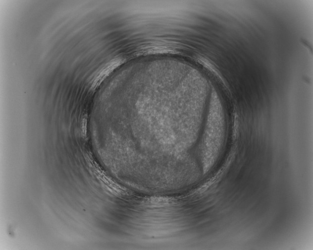 X0000101150777200807251047