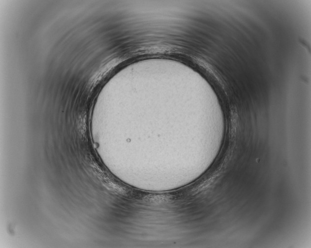 X0000101150778200807251047