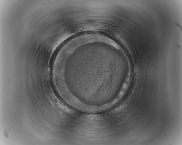 X0000101150779200807251047