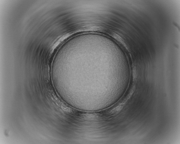 X0000101150781200807251047