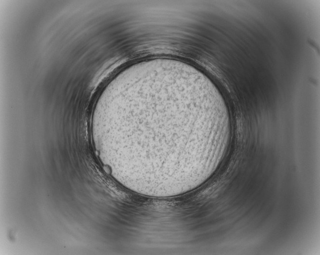 X0000101150782200807251047