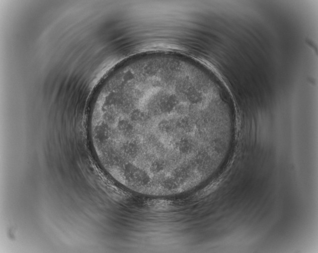 X0000101150783200807251047