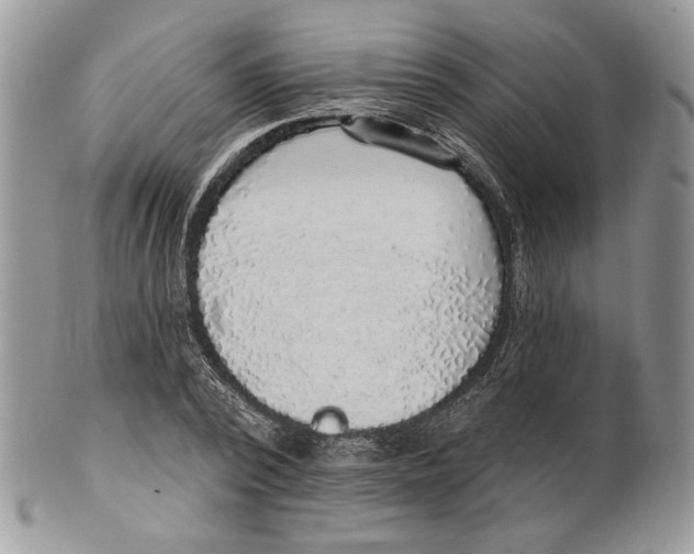 X0000101150784200807251047