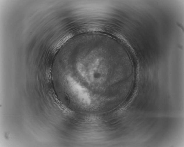 X0000101150785200807251047