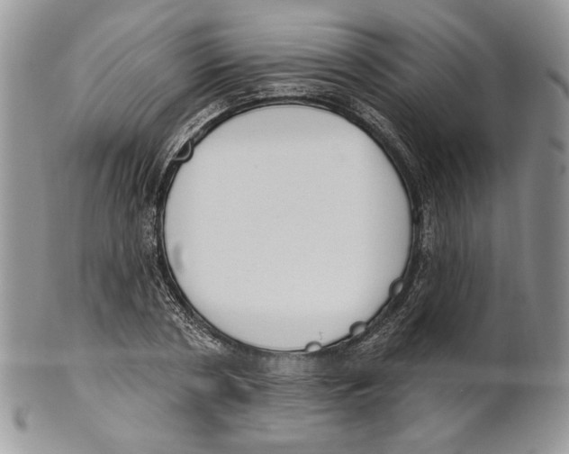 X0000101150786200807251047