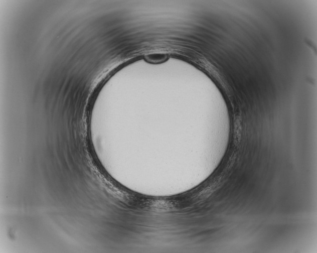 X0000101150787200807251047