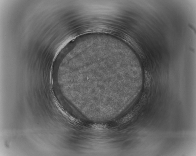X0000101150788200807251047