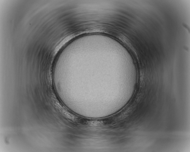 X0000101150789200807251047