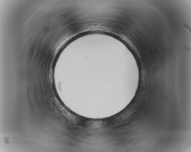 X0000101150791200807251047