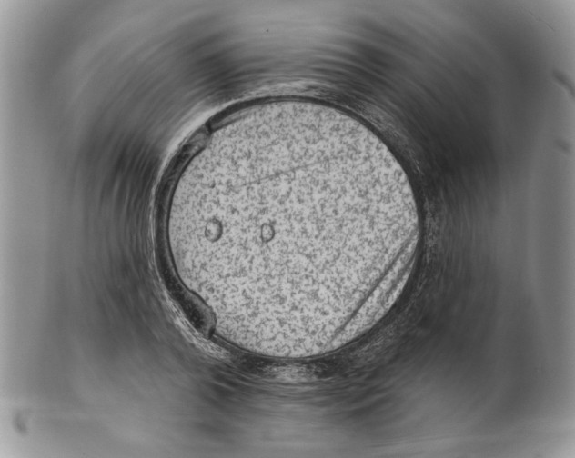 X0000101150792200807251047