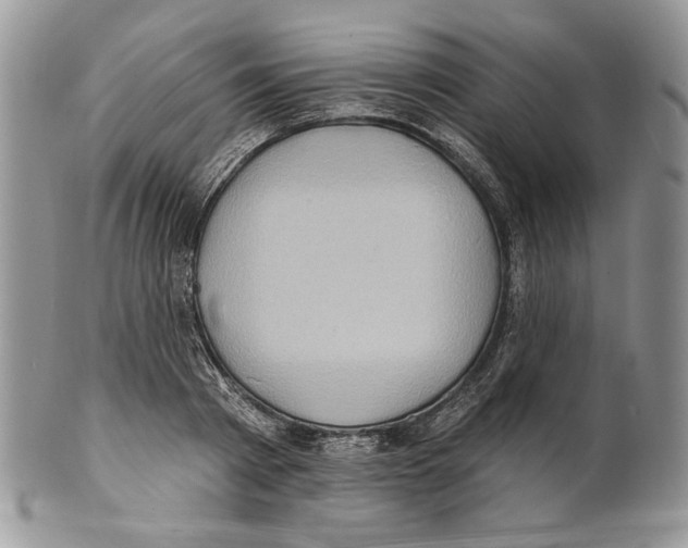X0000101150793200807251047